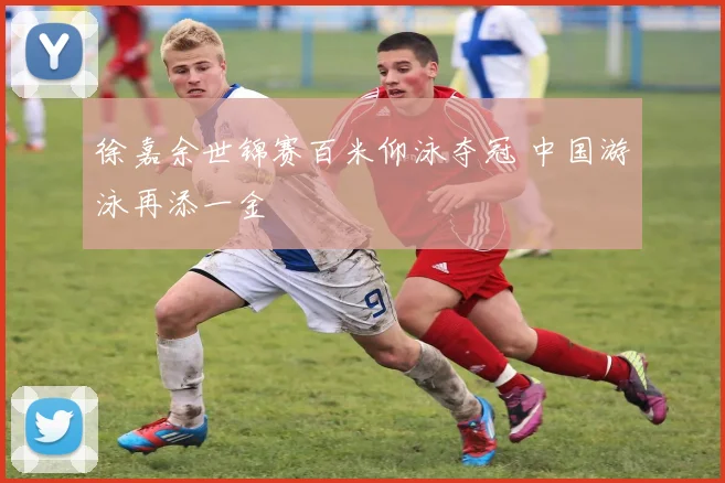 徐嘉余世锦赛百米仰泳夺冠 中国游泳再添一金