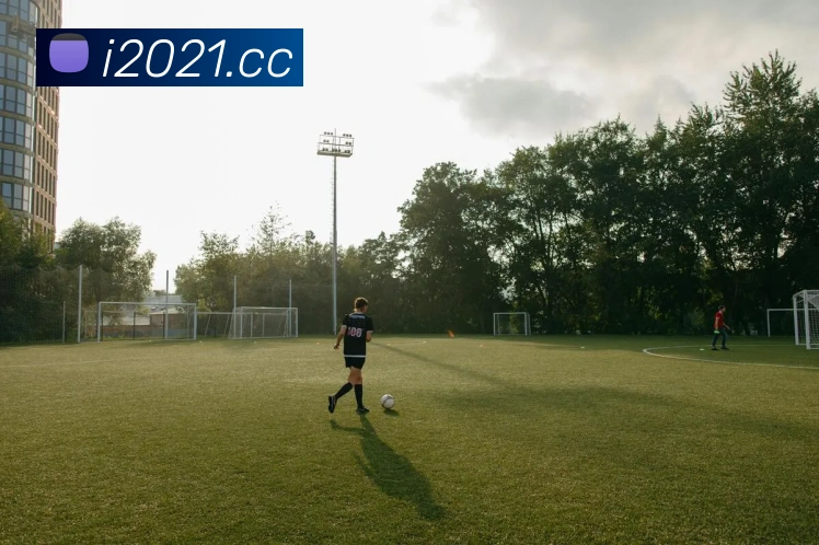 kaiyun官方网站平台生态图